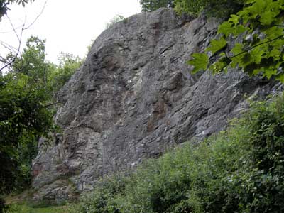 ivy_scar_rock